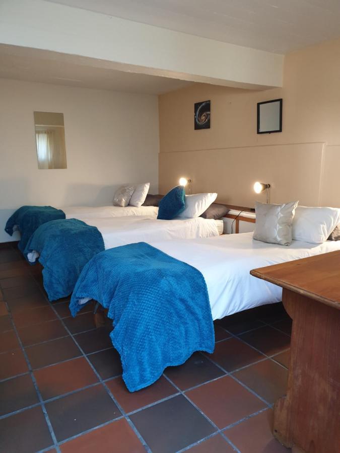 Hostel Zebra Crossing Backpacker Kapsztad Zewnętrze zdjęcie
